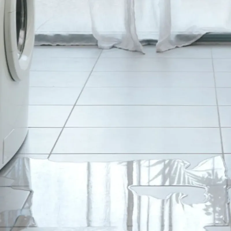 Appliance Leak Cleanup in Brighton, IL