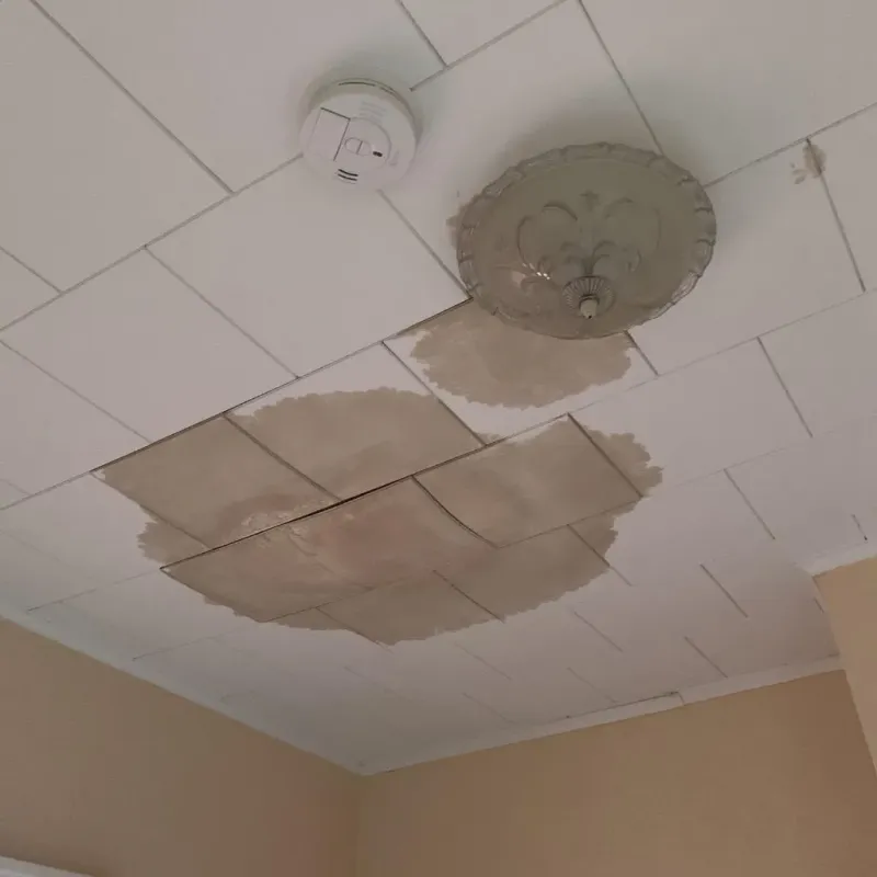 Ceiling Water Damage Repair in Brighton, IL