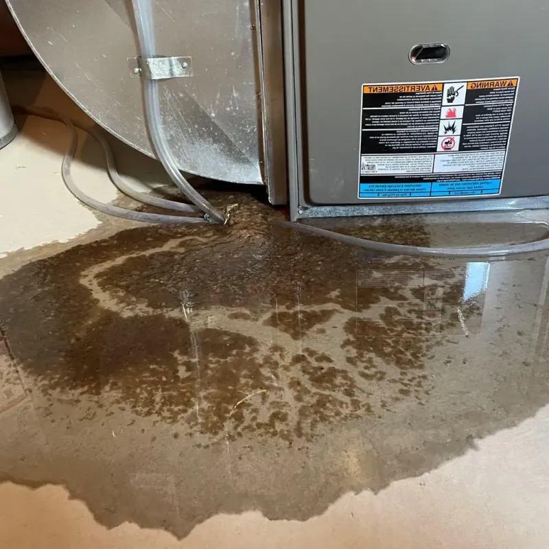 Pipe Burst and Leak Restoration in Brighton, IL